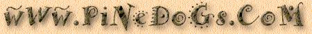 Welcome to www.pinedogs.com